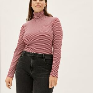 Everlane Luxe Micro-rib turtle neck